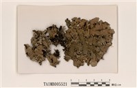 藏品(網梅衣)的圖片